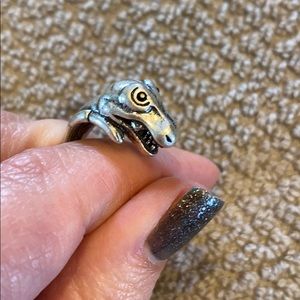 Dinosaur ring